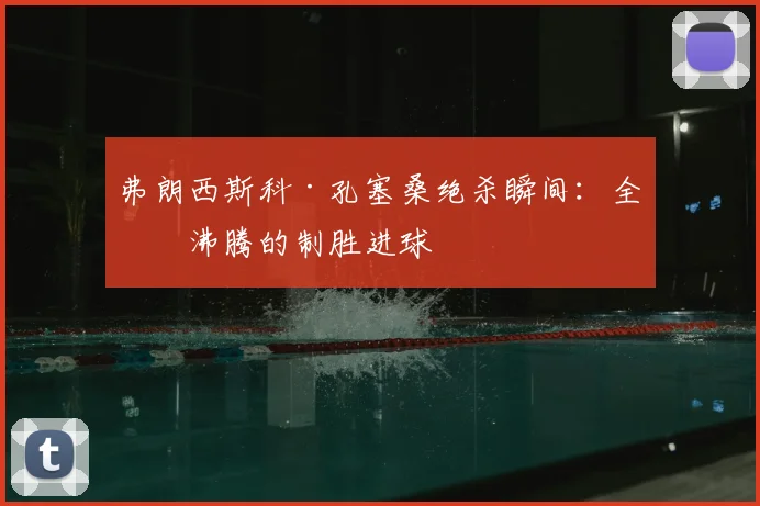 弗朗西斯科·孔塞桑绝杀瞬间：全场沸腾的制胜进球