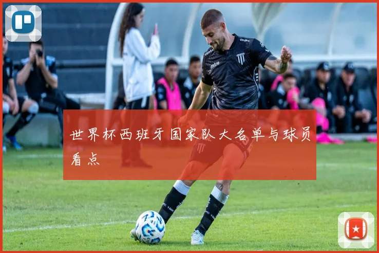世界杯西班牙国家队大名单与球员看点