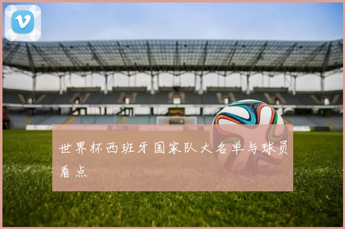 世界杯西班牙国家队大名单与球员看点